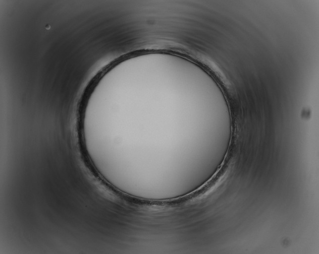 X0000102821122200809021244