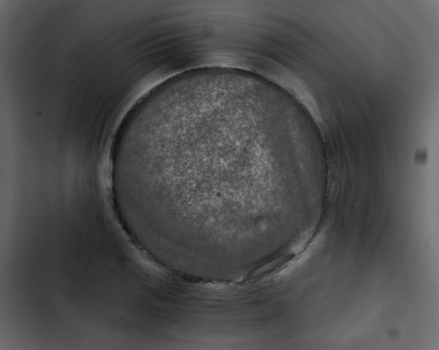 X0000102821125200809021244