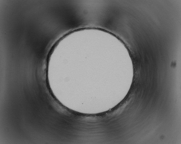 X0000102821126200809021244