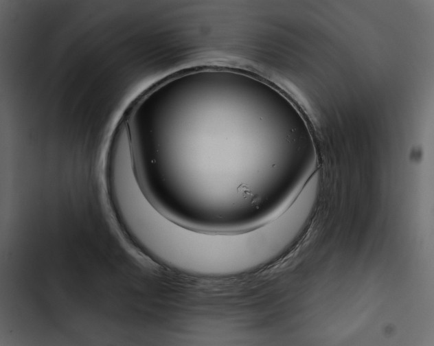 X0000102821128200809021244