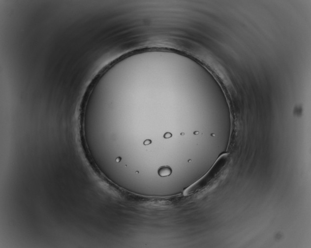 X0000102821133200809021244