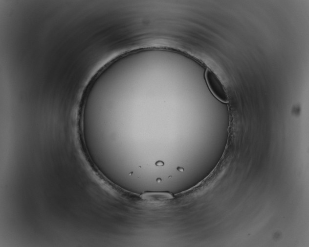 X0000102821134200809021244