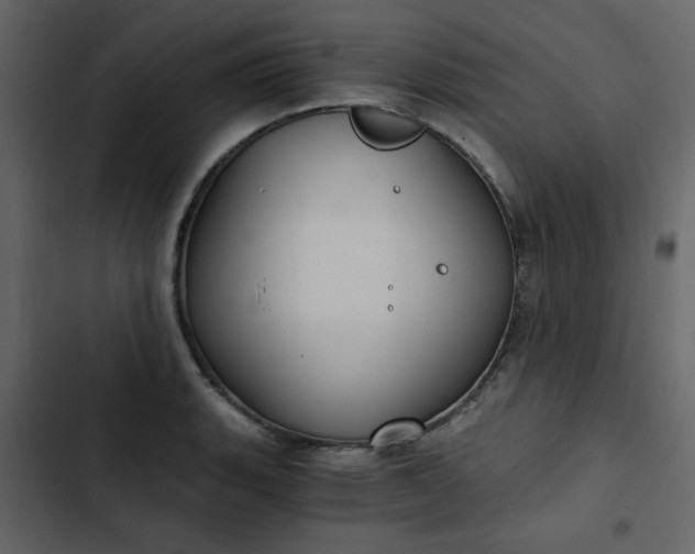 X0000102821135200809021244