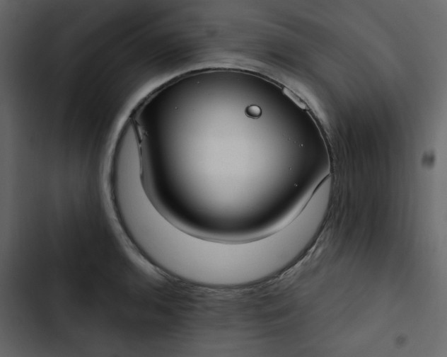X0000102821136200809021244
