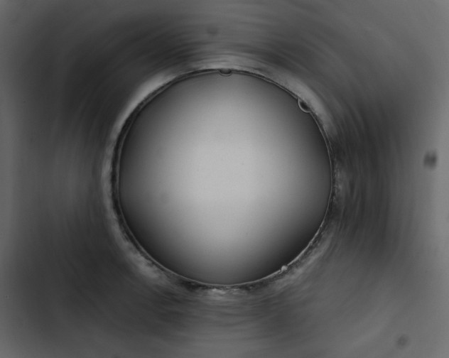 X0000102821138200809021244