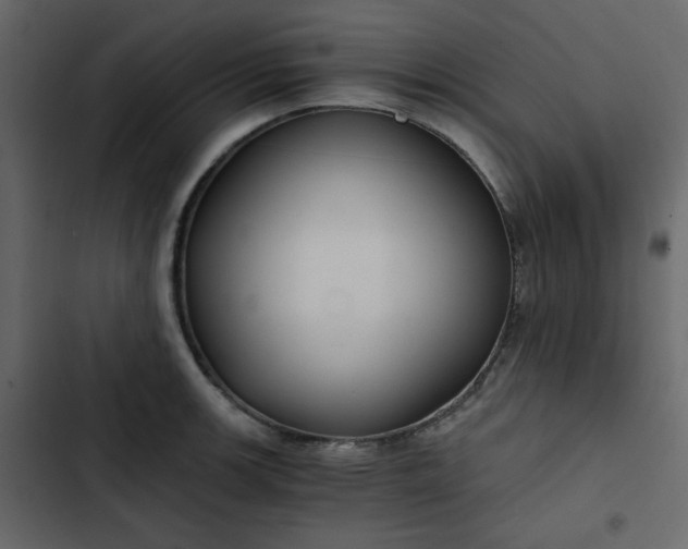 X0000102821139200809021244