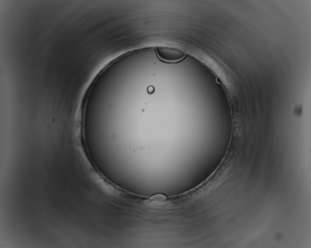 X0000102821140200809021244