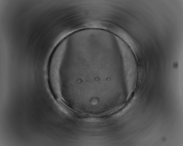 X0000102821141200809021244