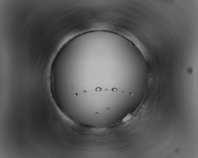 X0000102821143200809021244