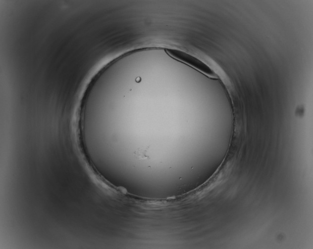 X0000102821144200809021244