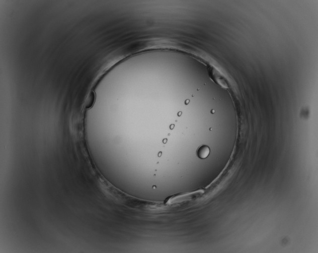 X0000102821145200809021244