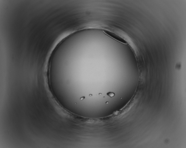 X0000102821146200809021244