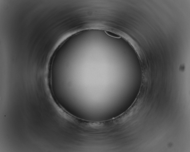 X0000102821147200809021244