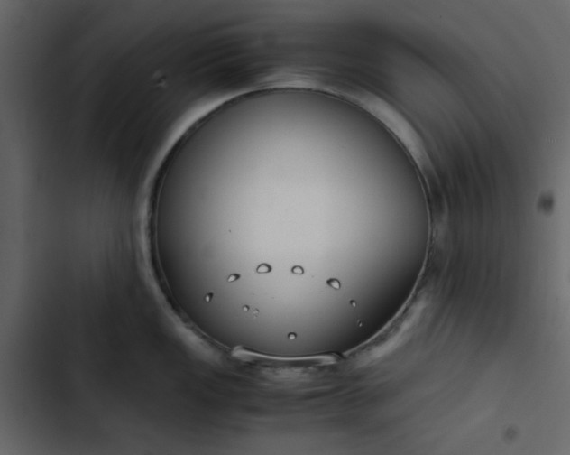 X0000102821149200809021244