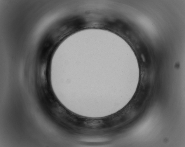X0000102821150200809021244
