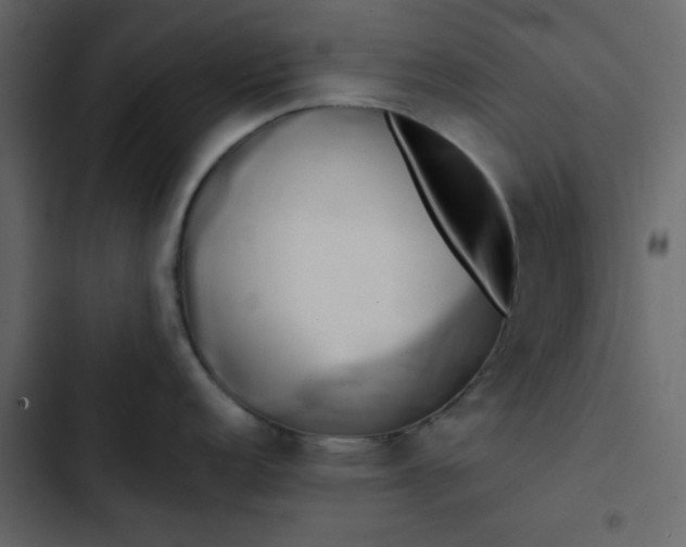 X0000102821152200809021244