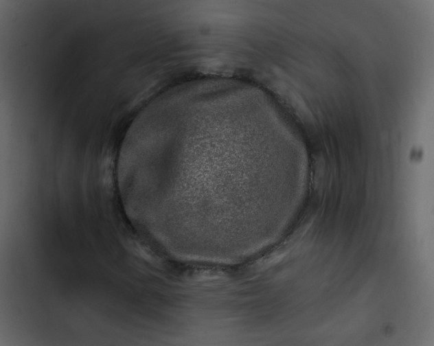 X0000102821154200809021244