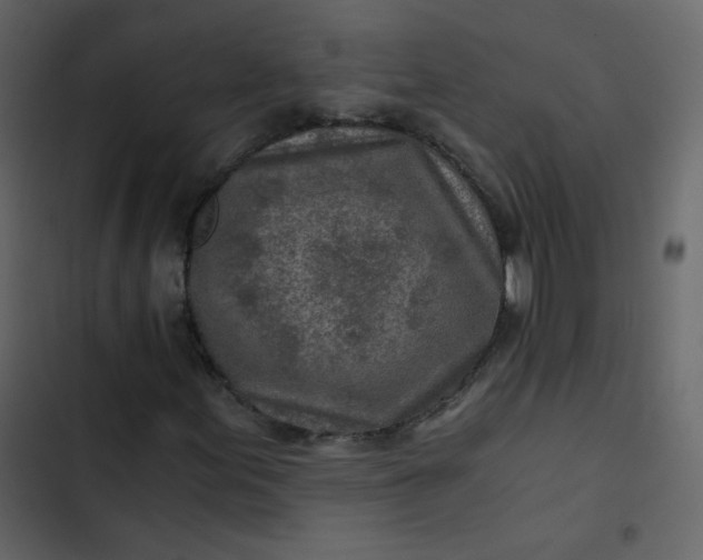 X0000102821155200809021244