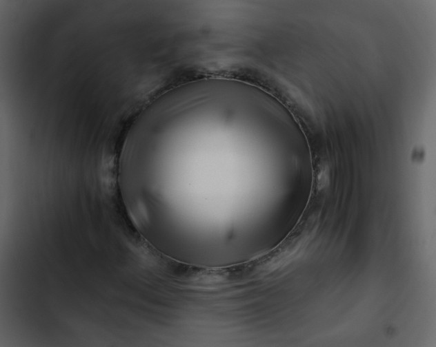 X0000102821156200809021244