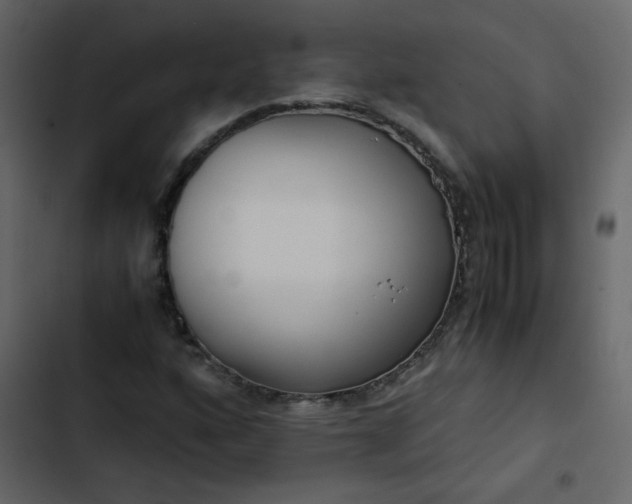 X0000102821160200809021244