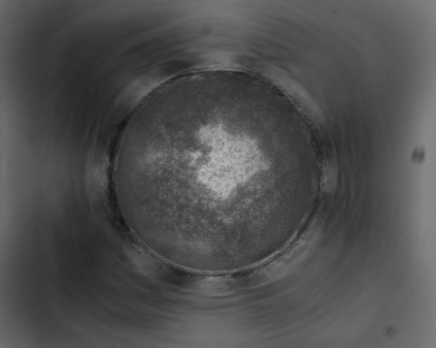 X0000102821161200809021244