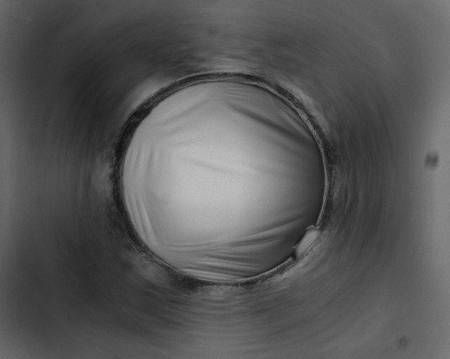 X0000102821163200809021244