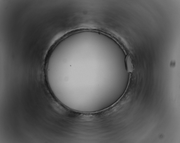X0000102821168200809021244