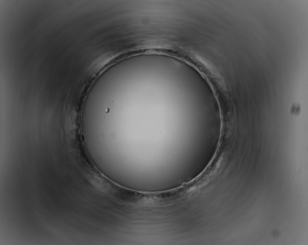 X0000102821169200809021244
