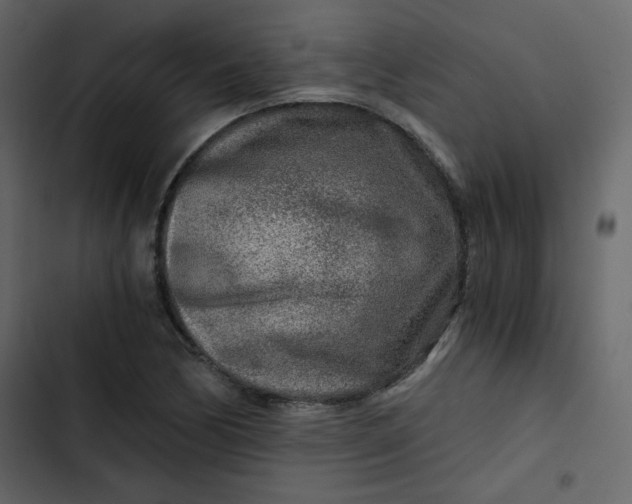 X0000102821170200809021243