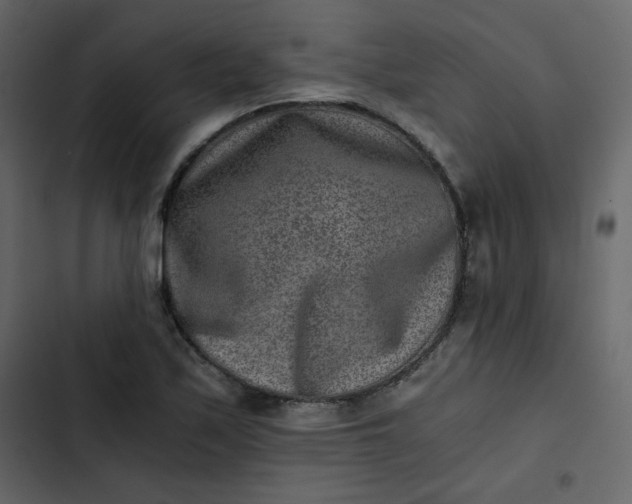 X0000102821171200809021243