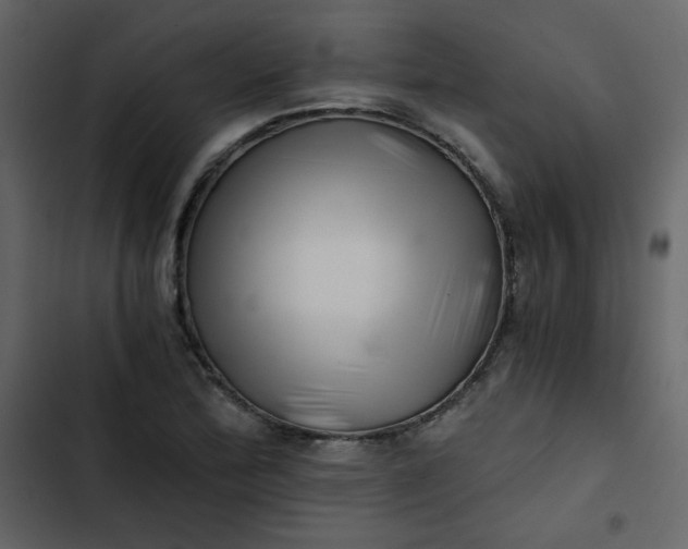 X0000102821172200809021243