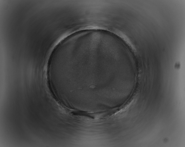 X0000102821173200809021243