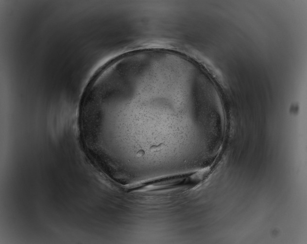 X0000102821174200809021243