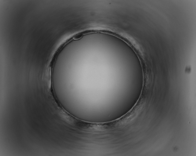 X0000102821175200809021243