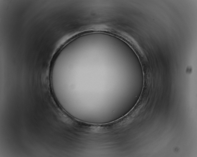 X0000102821176200809021243