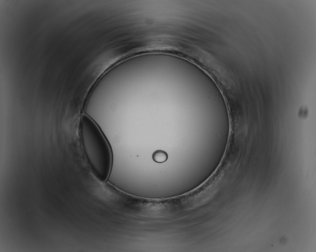 X0000102821177200809021243
