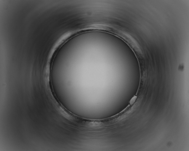 X0000102821180200809021243