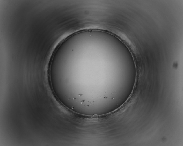 X0000102821181200809021243