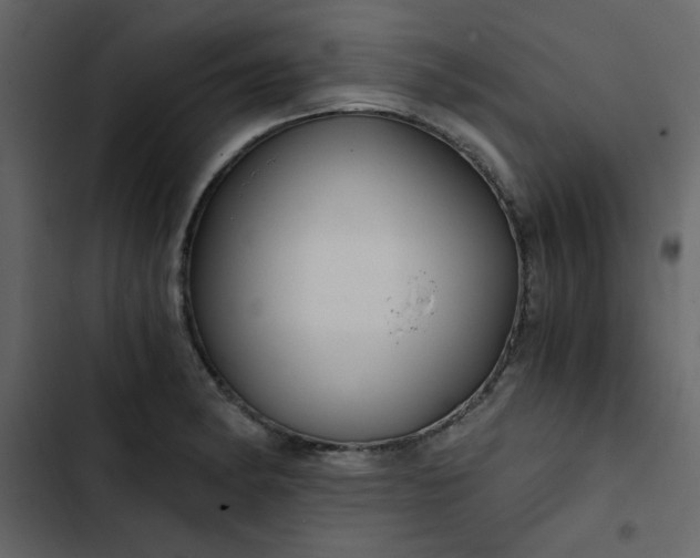 X0000102821182200809021243