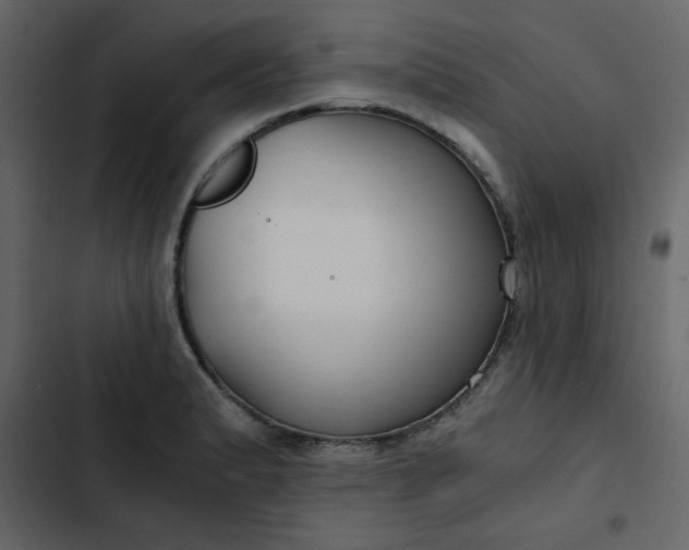 X0000102821183200809021243