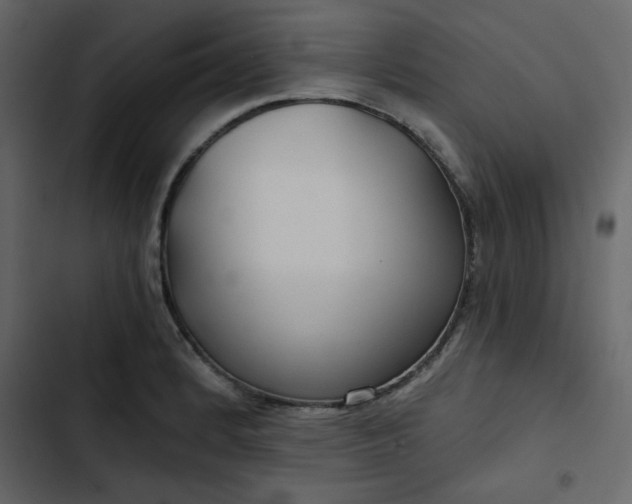 X0000102821184200809021243