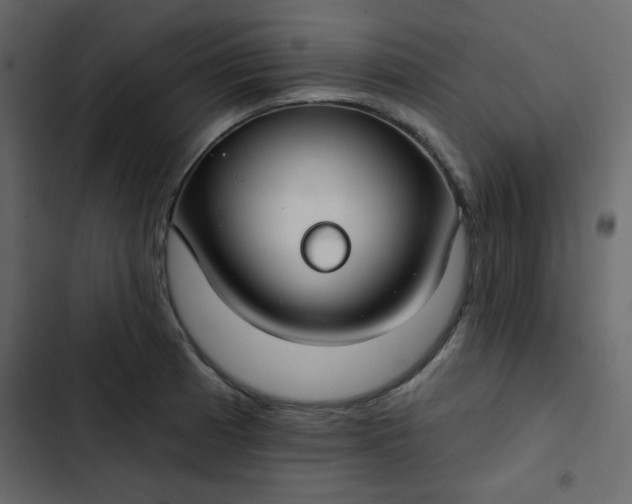 X0000102821185200809021243