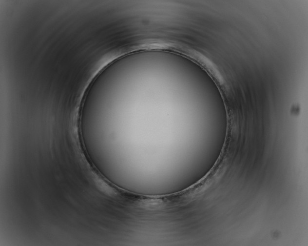 X0000102821186200809021243