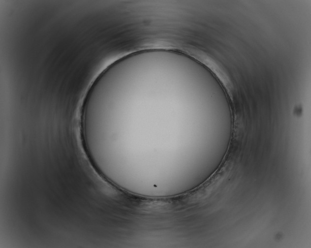 X0000102821187200809021243