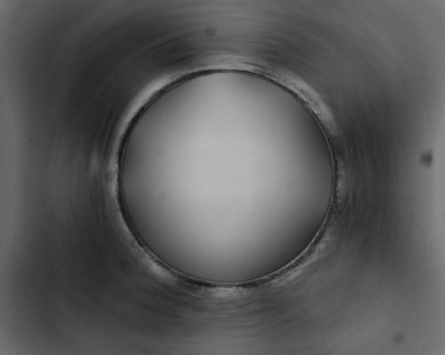 X0000102821188200809021243