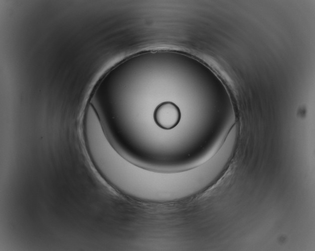 X0000102821189200809021243