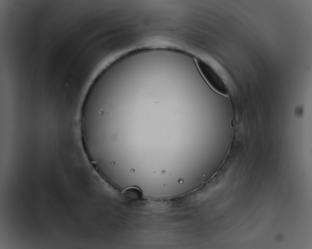 X0000102821191200809021243