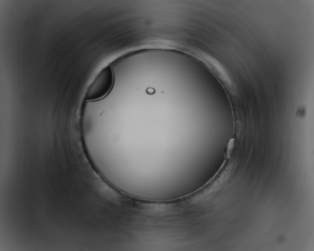X0000102821192200809021243