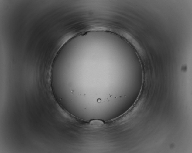 X0000102821193200809021243