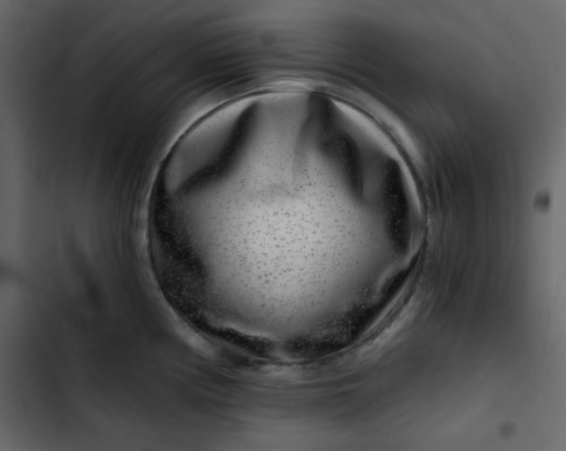 X0000102821194200809021243